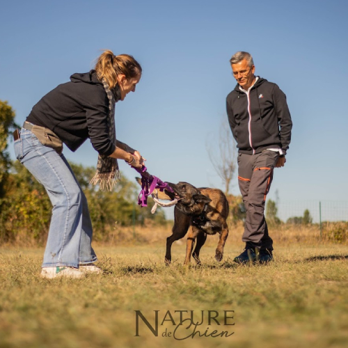 Un instructeur expérimenté en train d'enseigner à une étudiante et son chien, démontrant la passion et l'expertise de notre équipe pour l'éducation et le comportement des animaux