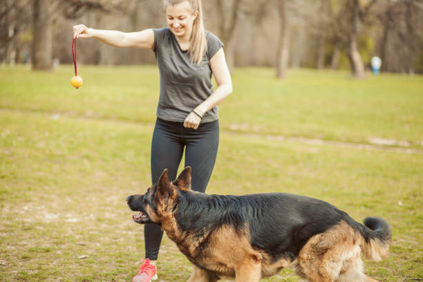 DON'T MAKE THIS MISTAKE BY CHOOSING YOUR CANINE EDUCATOR