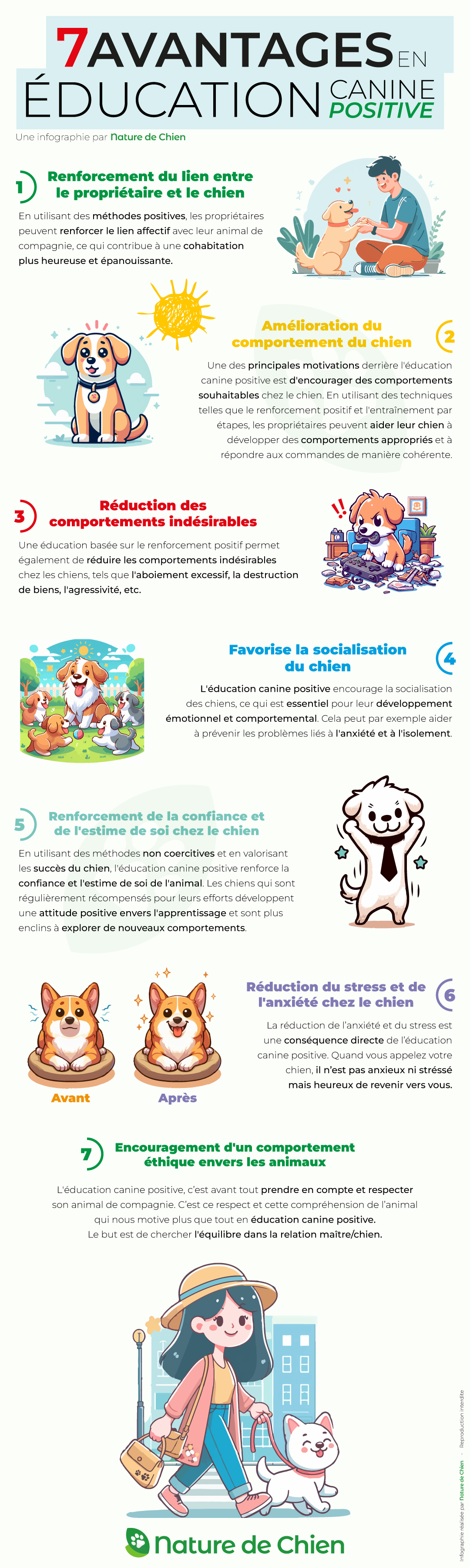 7 Avantages en éducation canine positive, Infographie Nature de Chien